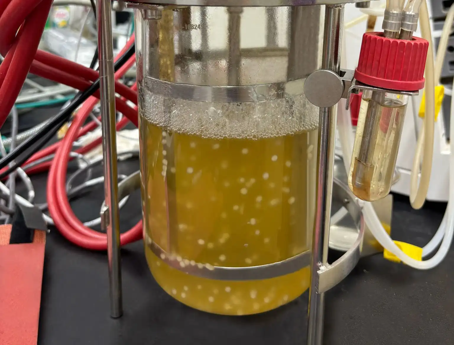 Bioreactor Process